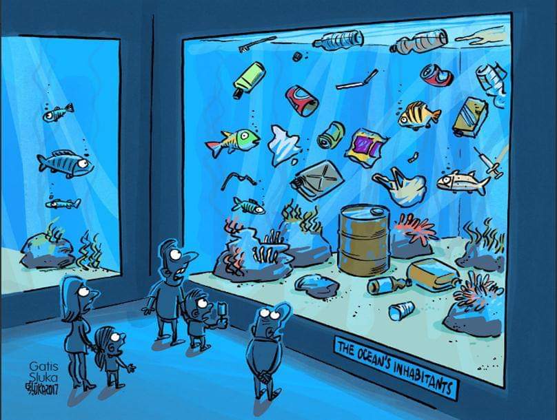 44846036 10156124295933406 5517733017608519680 n.jpg