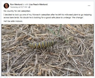 Before the Whoosh Transformation.jpg