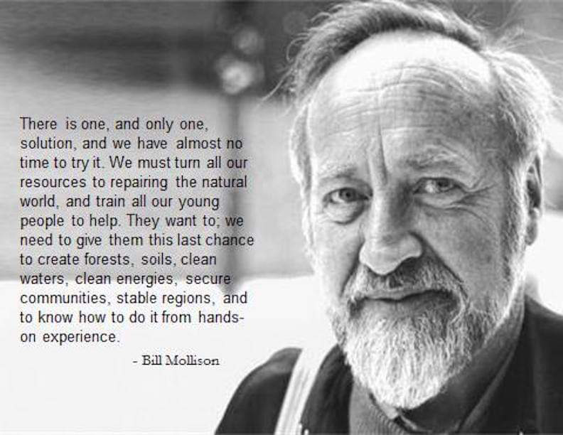 Bill Mollison experience.png