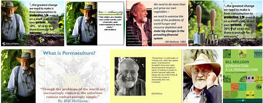 Bill Mollison quotes.png
