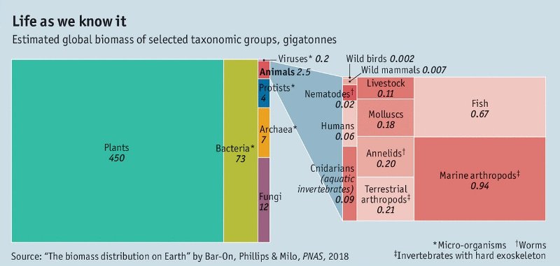 Biosphere, life as we know it by biomass.jpg