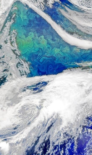 Blue-green phyto swirling 2015.png