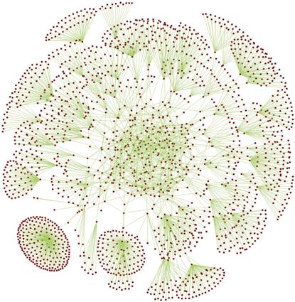 Connect cooperative networking 2.jpg