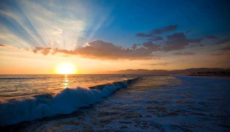 Courtesy of Santa Monica Now.jpg