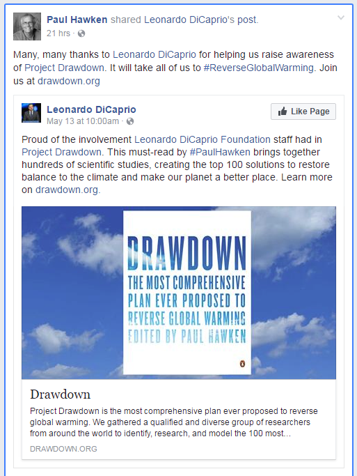 DiCaprio, Drawdown.png