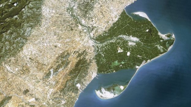 Ebro Delta, Spain.jpg