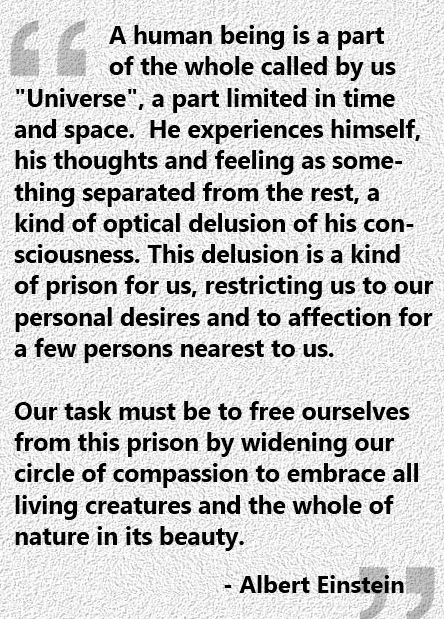 Einstein - the whole of nature 1.PNG