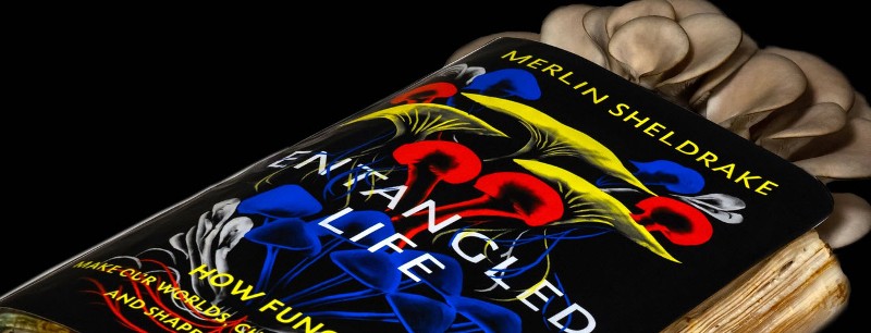 Entangled Life by Merlin Sheldrake.jpg