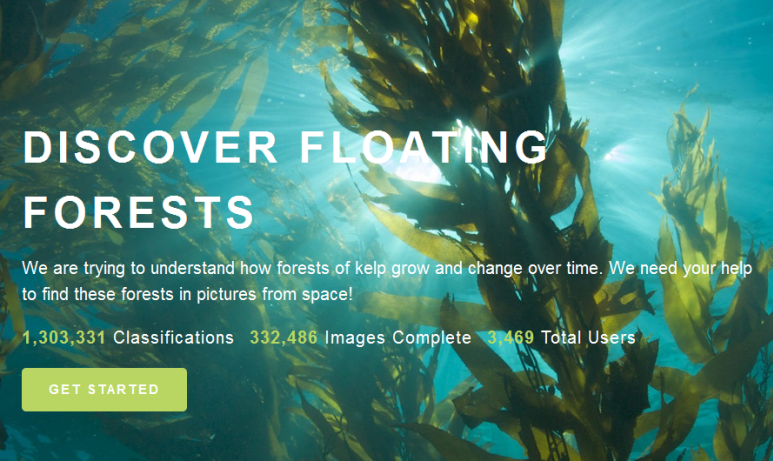 Floating Forest Project .png