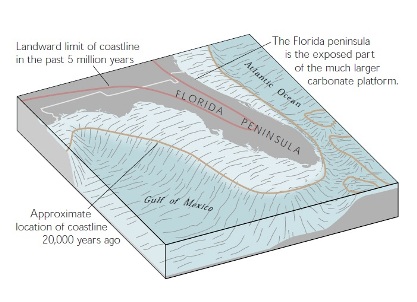 Florida Carbonate-Platform-via-Tihansky.jpg