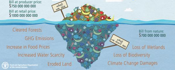 File:Food waste, visible and unseen impact.png