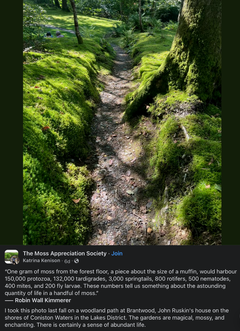 Forest Moss and unseen 'tiny little ones'.PNG