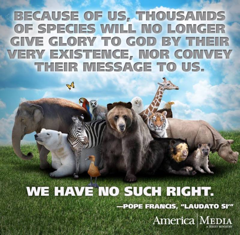 From Laudato Si protecting diversity of life.jpg