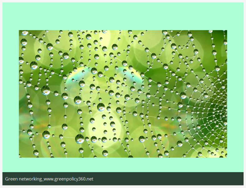 Green Networking @GreenPolicy360.net.png