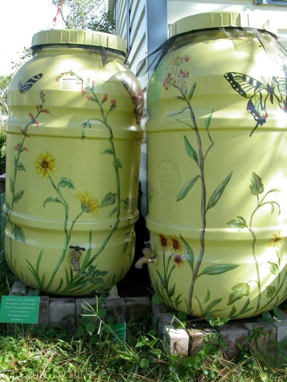 Green Rain Barrels.jpg