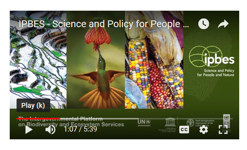 IPBES Intro Video.jpg