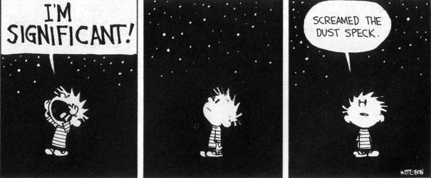 I am a significant... speck of stardust.jpg