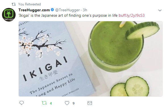 Ikigai.png