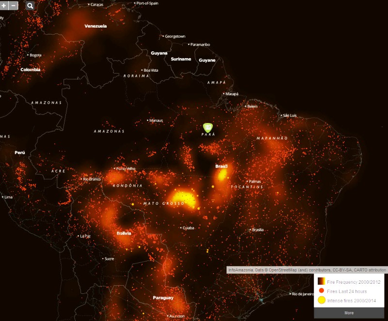 Infoamazonia-fires-Aug2019.jpg
