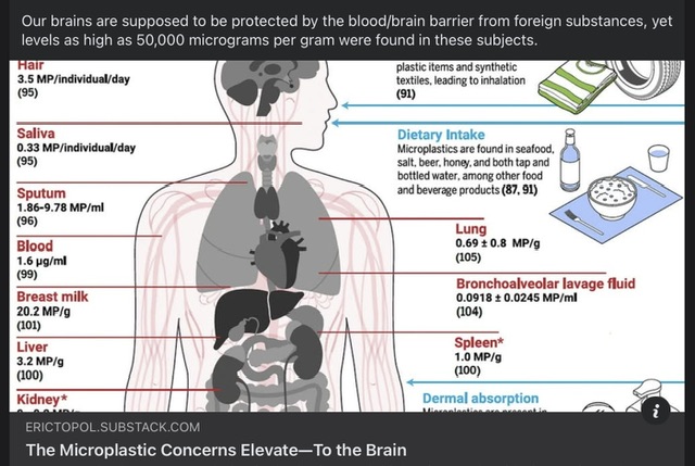 Micro Nano Plastics.jpeg