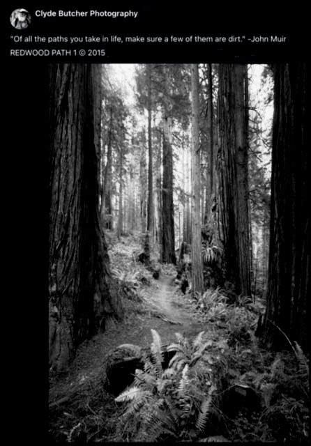 Muir... Walk a dirt road.jpg