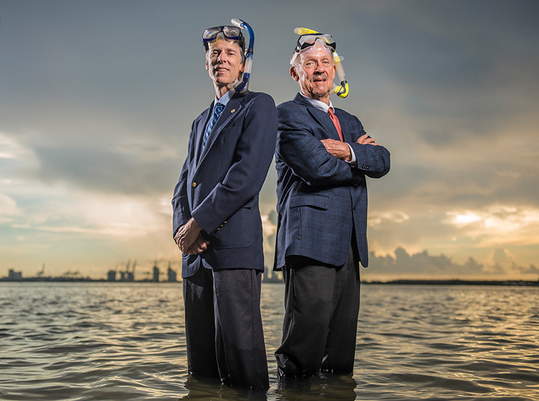 File:Not to worry 2016.png