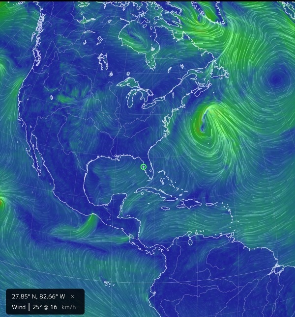 On Earth, GreenPolicy360, Clearwater, Florida.jpg