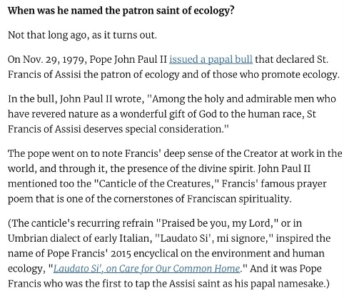 Patron Saint of Ecology - St Francis.jpg