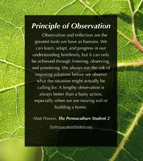 Permaculture-observation tip.jpg
