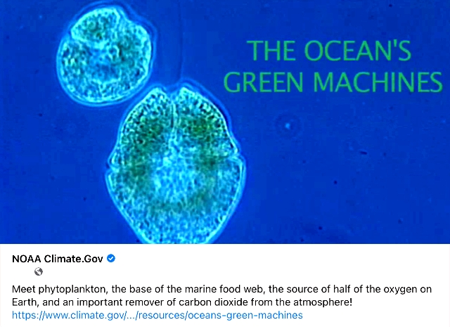 Phyto the Green Machine.png