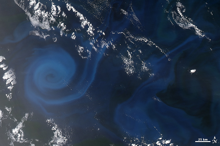 Plankton swirl Jan 2015.jpg