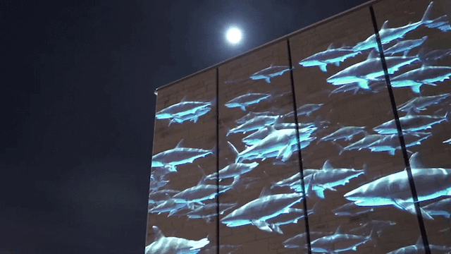 RCatUN projection2.gif