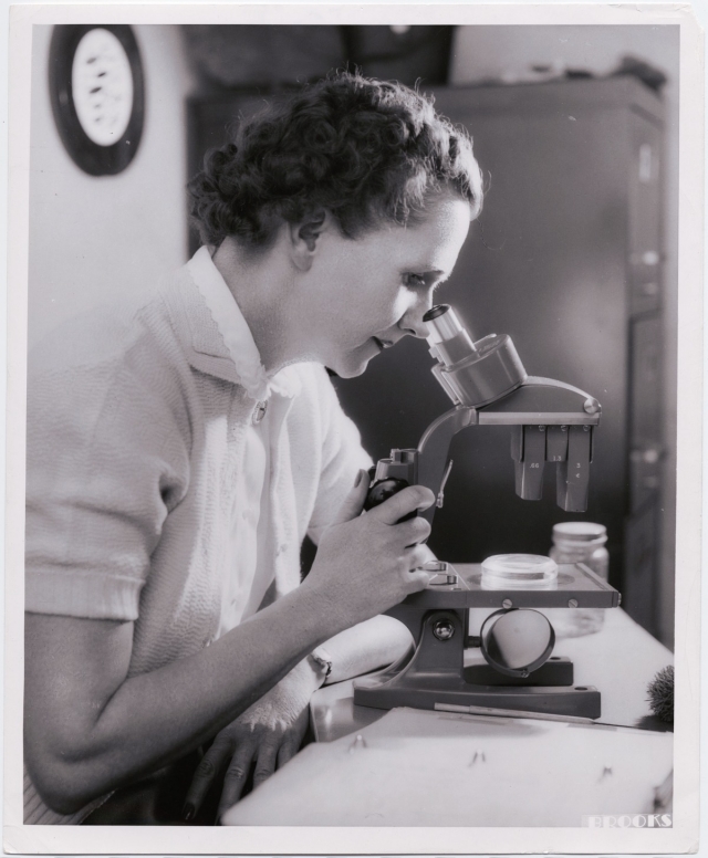 Rachel Carson courtesy of Rachel Carson Estate.jpg