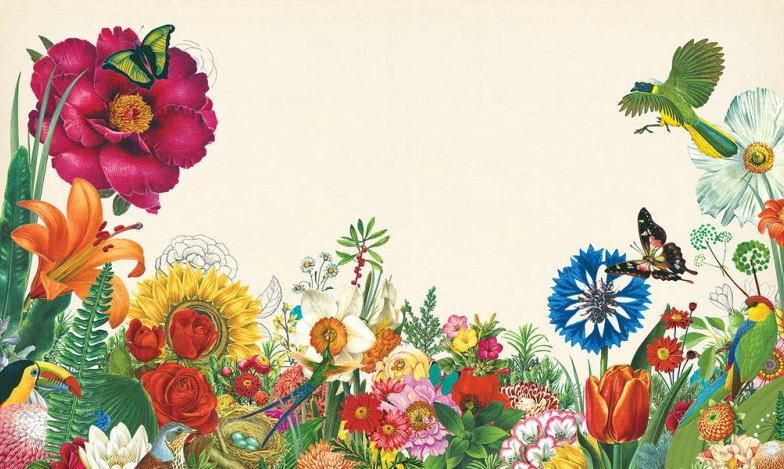 File:Rachel carson1 NYT-Illustration by Valero Doval.png