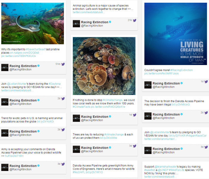 Racing Extinction update4.png