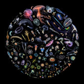 Racing Extinction websiteplankton 2.jpg