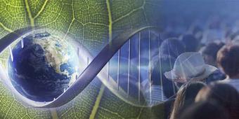 Sante Fe SFI-Templeton.jpg