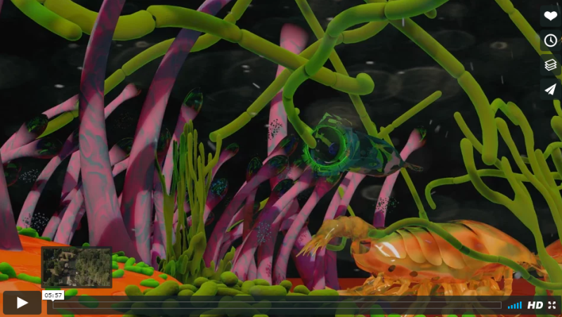 Secret Life of Rivers.png