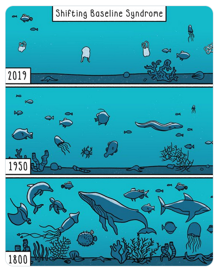 Shifting Baseline Syndrome - threats to ecosystems biodiversity.png
