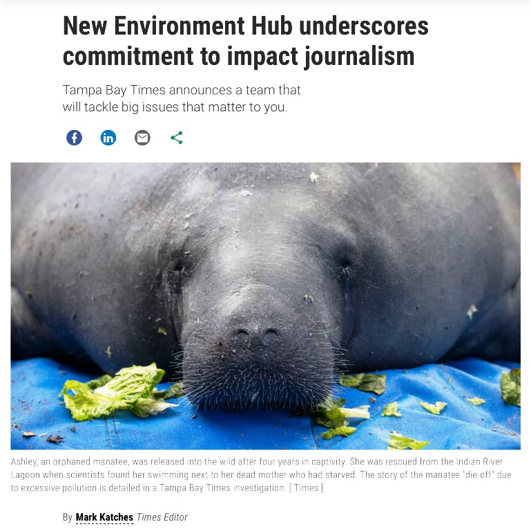 Tampa Bay Times Environment Hub - April 2025.jpg