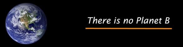 Thereisnoplanetb.com m.jpg