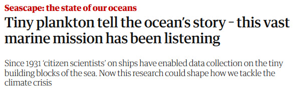 Tiny Plankton - via The Guardian.jpg