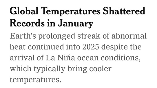 Too Hot January.jpeg