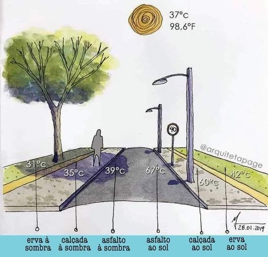 Treehugger story - hug a tree and say thanks.jpg