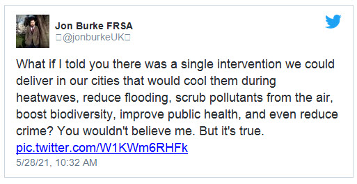 Trees in the City.jpg