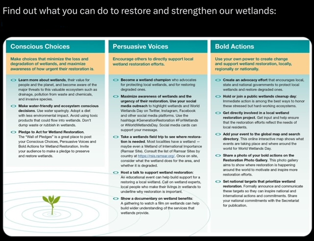 Wetlands - Wetlands Day.png