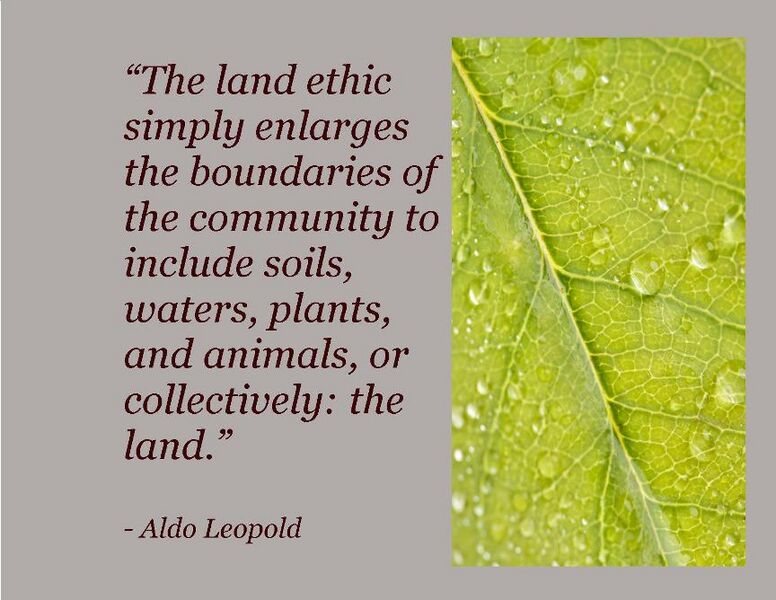 File:A land ethic .jpg