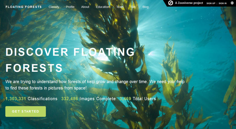 File:Floating Forest Project.png