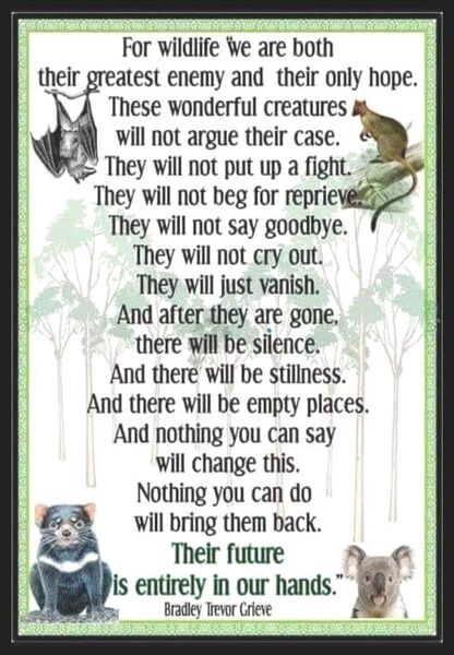 File:For Wildlife.jpg