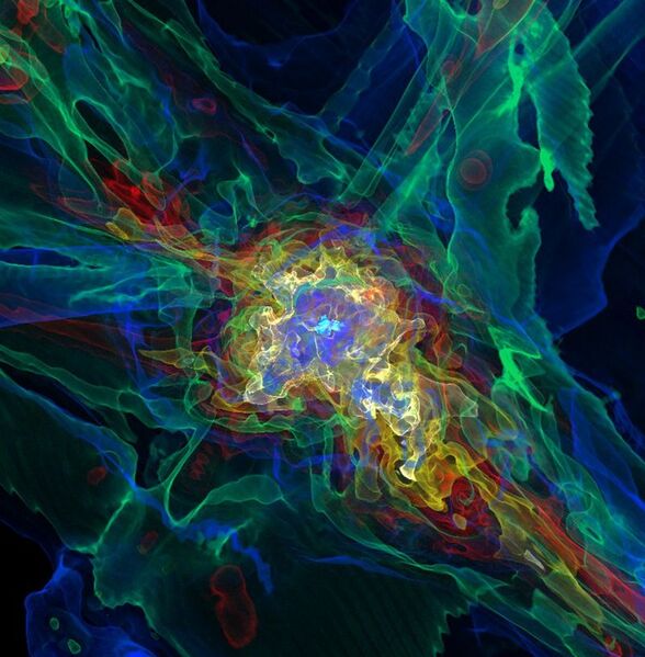 File:Galaxy clusters.jpg